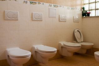 pracoviště Karla Steinera