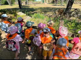 ZOO3