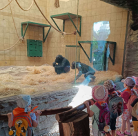 zoo5